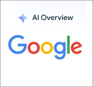 Google AI overview